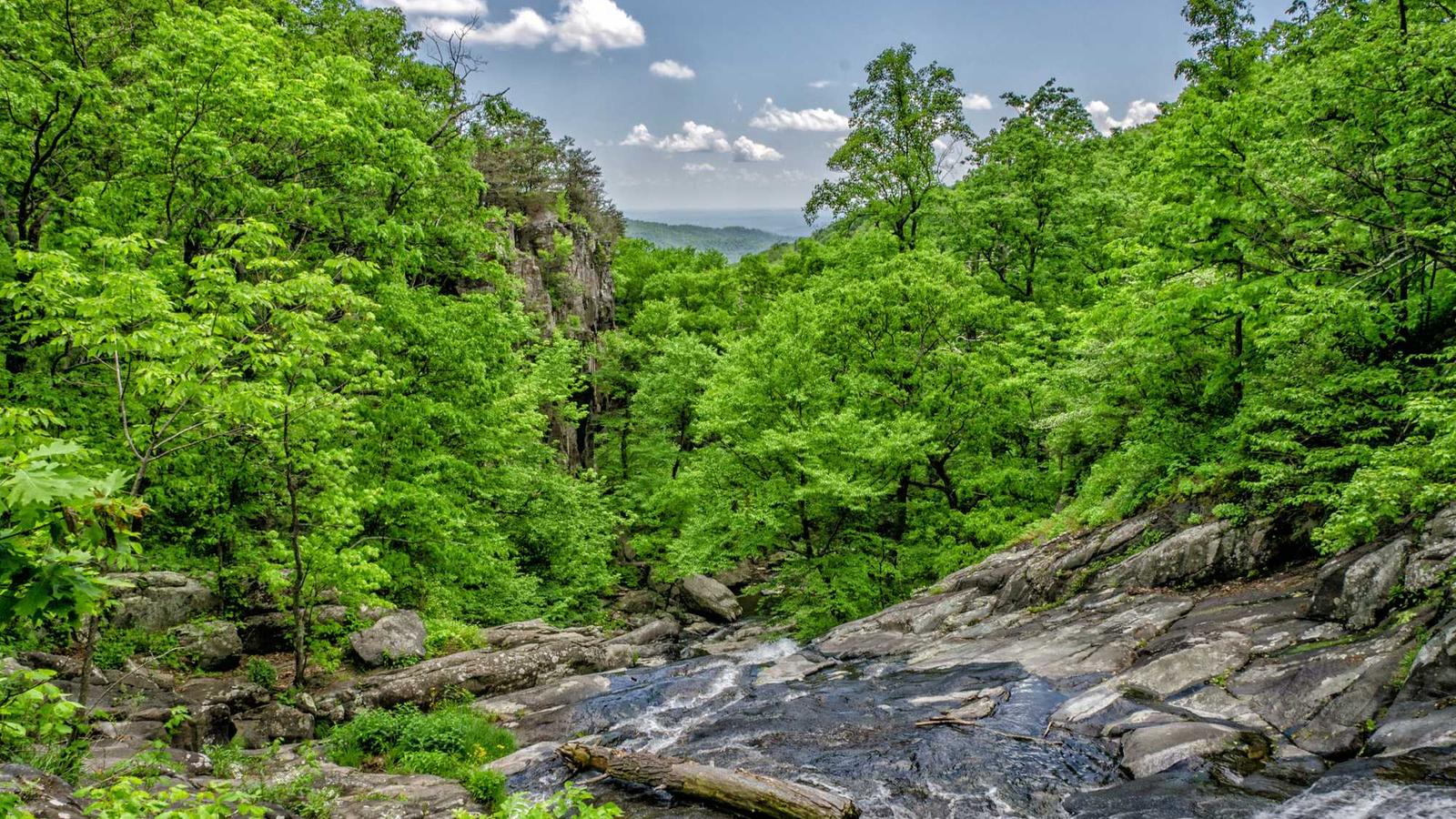 Cohérence cardiaque 365