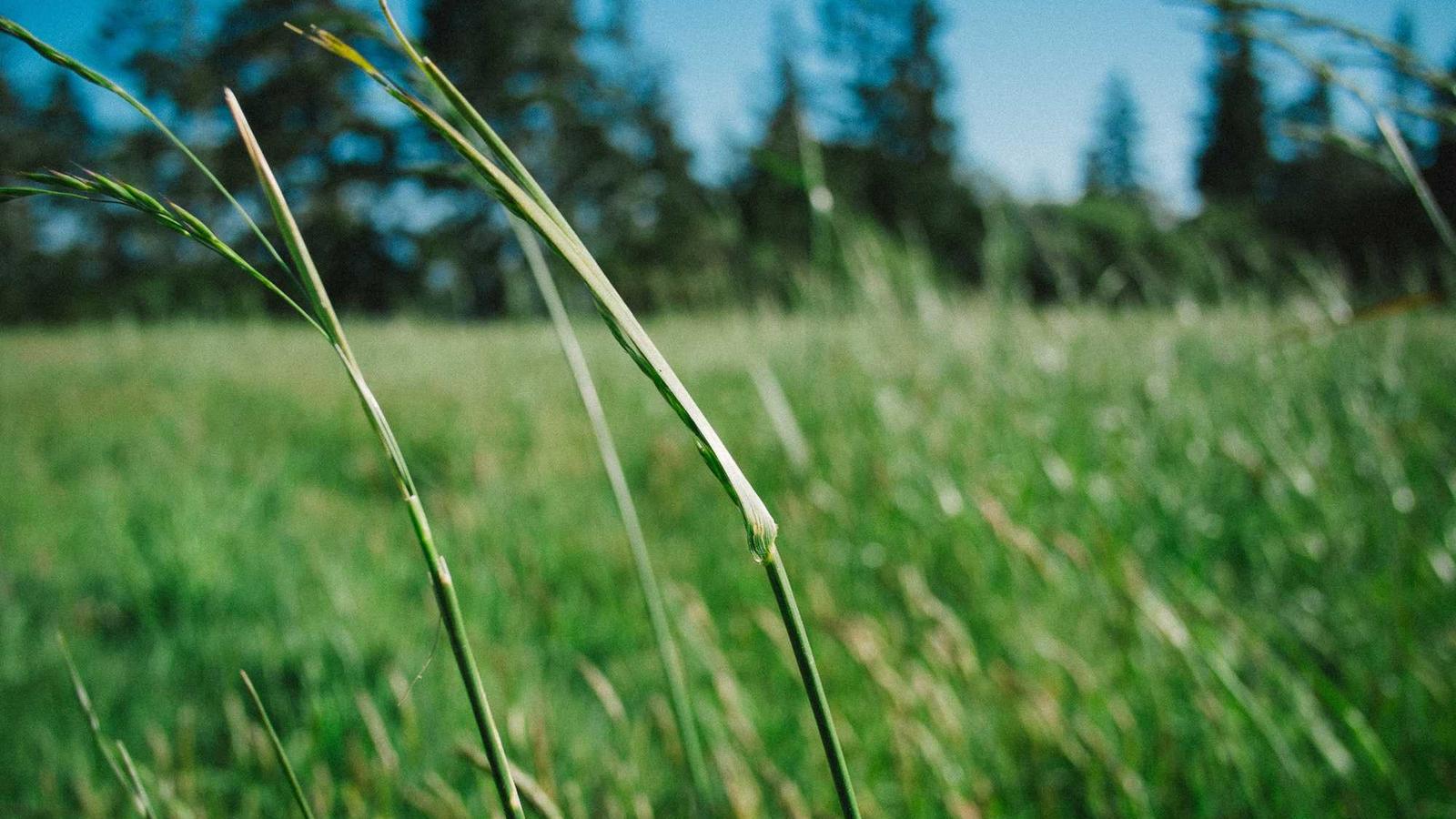 Cohérence cardiaque en entreprise