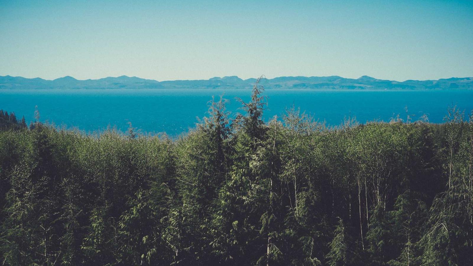 Cohérence cardiaque — Guide complet