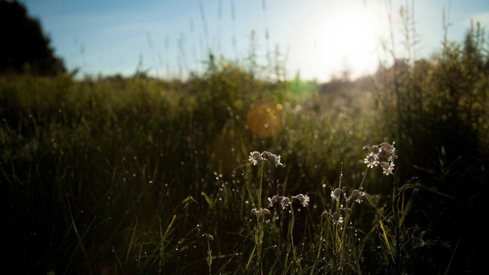 Journaling et respiration